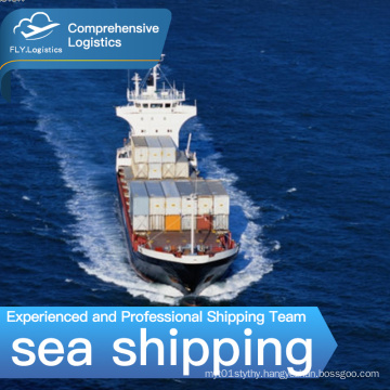 Experienced sea freight forwarding door-to-door service transportation from China to US